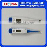 Portable Privater Label Home Use Electronic Digital Thermometer thumbnail-4