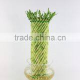 Spiral Cage 20cm thumbnail-2