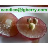 100% natural Grape Seed Extract OPC( Proanthocyanidins )