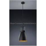 Hanging Celling Lighting Pendant Lamp Metal Shade E26 Painting Finished thumbnail-1