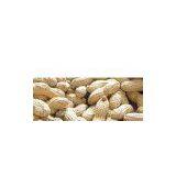 Peanut in Shell (Virginia Type) thumbnail-1