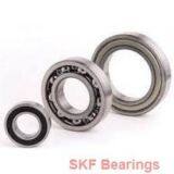 SKF Bearings thumbnail-1