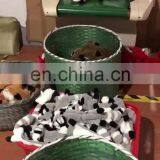 Durable Stuffingless Plush Squeaky Dog Chew Toy Set Dog Toys With Squeakers thumbnail-1