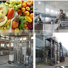 Industrial Cashew Apple Juicing Plant / Cashew Apple Juice Production Line thumbnail-5