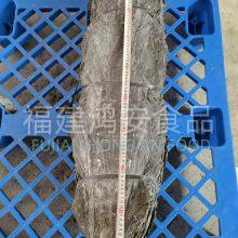 Dried Kelp Laminaria Japonica thumbnail-2