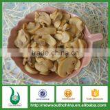 High Quality Canned Mushroom Products for Hungarian Canned Food Markets thumbnail-3