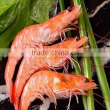 New Arrival IQF frozen seafood Cooked vannamei shrimp