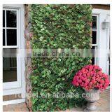 EXTENDING FENCE WITH LEAVES NICE SCREENING IVY TRELLIS thumbnail-1