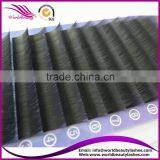 Worldbeauty Faux Mink Eyelash Extension, 0.05 - 0.30, B C D J Curl, 7-17mm OEM Service
