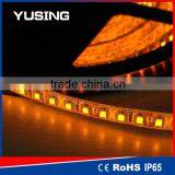 CE ROHS 24V 60LEDs/Meter High Lumen SMD 5050 LED Strip Waterproof 12V