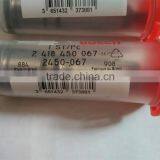 High Quality Element for Fuel Pump 2 418 450 067 2450-067 thumbnail-1