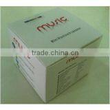 Portable Mini Bluetooth Speaker (YX-22) thumbnail-3