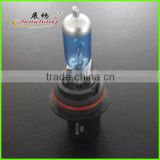 Car bulb 9004 12v Fog lamp bulb SUPERWHITE COLOR