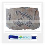 Popular Bone Fossil Replica of Dinosaur Bones