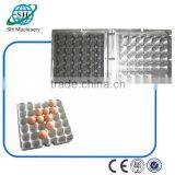 Egg Tray Mold