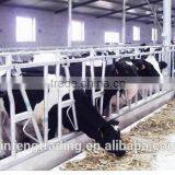 Feeding Equipment Cow Neck Lock, Cow Neck Cangue, Cow Headlock, Hot Dip Galvanized thumbnail-1