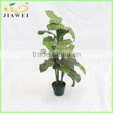 Cheap Artificial Big Leaves Pant Trees Plastic Trunk Bonsai