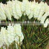 Artificial Flowers Factory in Yiwu City