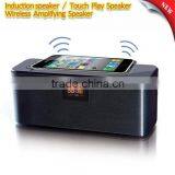 Portable Wireless Amplifying Induction Mini Speaker