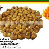 Fried And Salted Broad Beans For Sale, Fave Beans/broad Beans/Horse Beans Snacks thumbnail-2