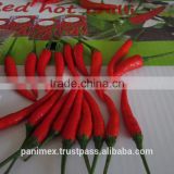 fresh red chilli