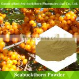 Seabuckthorn Fruit Powder with conditioning gastrointestinal nourishing the stomach and stomach trouble