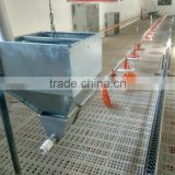 breeder chicken poultry farm equipment / plastic slat floor for breeder farm