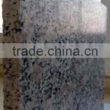 G383 Pearl Flower Granite Stone From Shandong China thumbnail-4