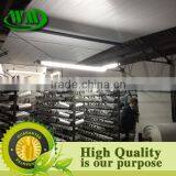 High Density Polyethylene PE Woven Fabric for Lamination or Printing thumbnail-5