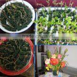 Xuzhou Huiya Imp.&Exp. Co., Ltd. company overview - view 3 thumbnail