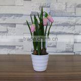 Table Artificial Mini Saussurea Flower Bonsai for Home and Commercial Decoration thumbnail-6