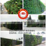 Vertical Garden Planting Bag,Hanging Planter Grow Bags,Hanging Planters,Wall Planting Bags thumbnail-1