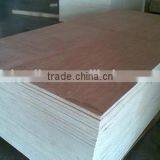 China Shandong Linyi Factory Best Flexible Bent Plywood for Chair Seat thumbnail-5
