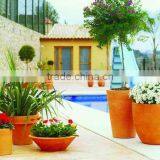 Flower Pot thumbnail-1