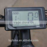 48V 750W Big Power Electric Fat Tire Bicycle ATV Ebike Mountain Bike thumbnail-6