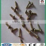Screw/Drywall Screw/bulgy Screw/collated Drywall Screws thumbnail-4