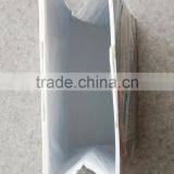 High Quality Disposable Thermal Cooler Bag for Frozen Food and Hot Food thumbnail-6