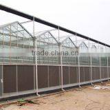 Agricultural Venlo Polycarbonate Greenhouse thumbnail-3