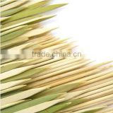 High quality Bamboo skewer