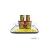Sell Canned Pineapple thumbnail-1