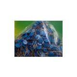 Metal Oxide Varistors 07D180K,07D220K,07D270K,07D330K,07D390K,07D470K,to 07D182K thumbnail-2