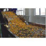Fruit Bubble Washer thumbnail-2