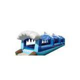 Inflatable thumbnail-1