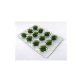 Effective Herbal Weight Management Capsule