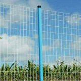 New Bestselling High Quality Euro Fences
