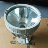 Split Explosion-proof Lamp Explosion Proof Spotlight BAT51-J1000W thumbnail-4