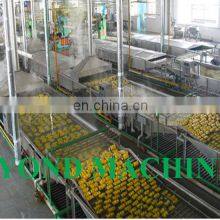 High Efficiency Canned Mandarin Orange Processing Plant / Orange Processing Machine thumbnail-4