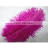 High Quality Real Natural Ostrich Feathers, Decorative Feathers Wholesale thumbnail-2