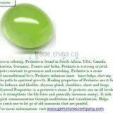 Abc Stone Co. Ltd. company overview - view 3 thumbnail