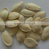 Snow White and Shine Skin Pupkin Seeds thumbnail-1